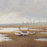 1111 9035 OIL PAINTING